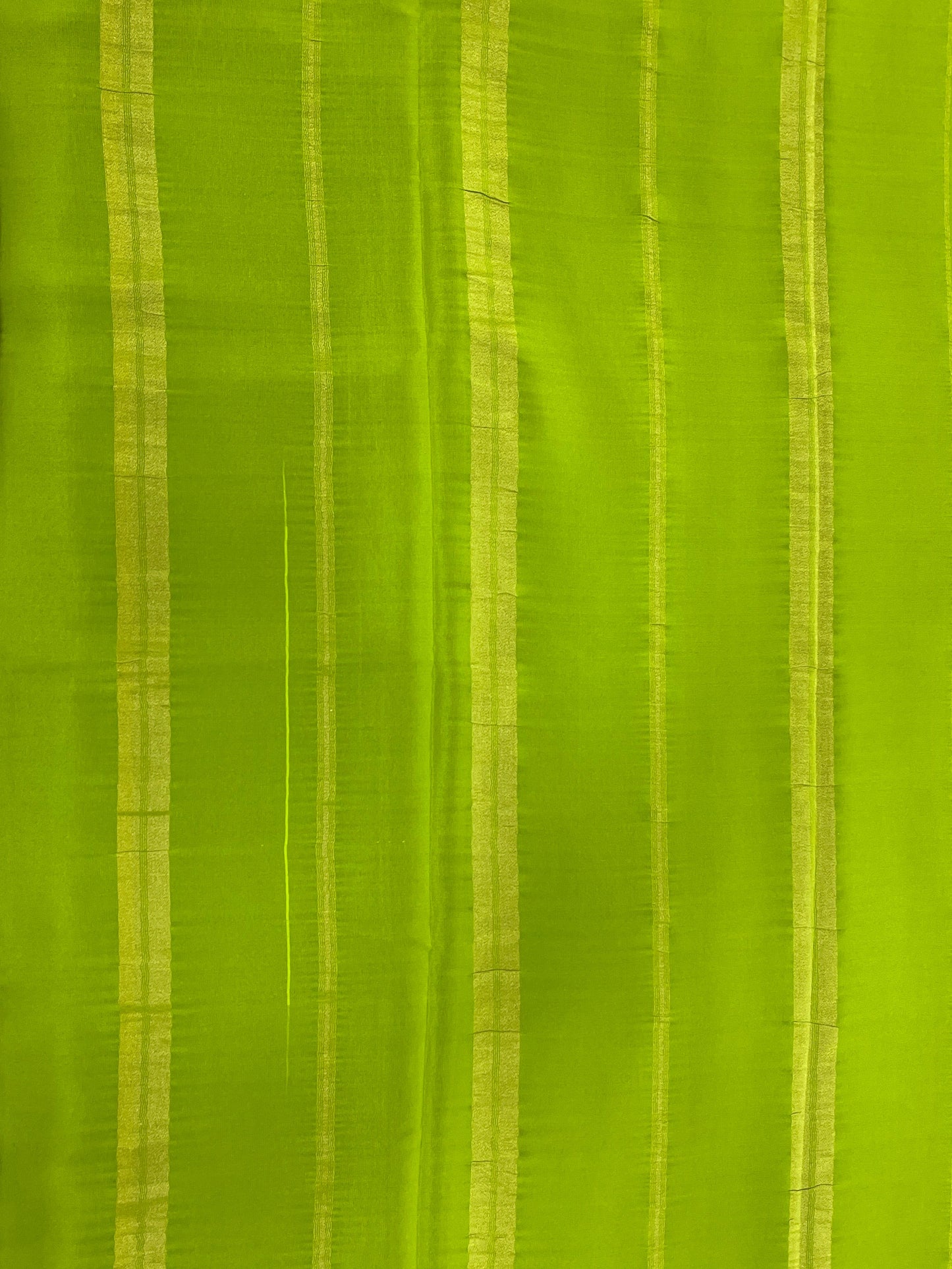 Two Line One Inch Border in Gold Lace Mysore silk saree In Self Light Green Color