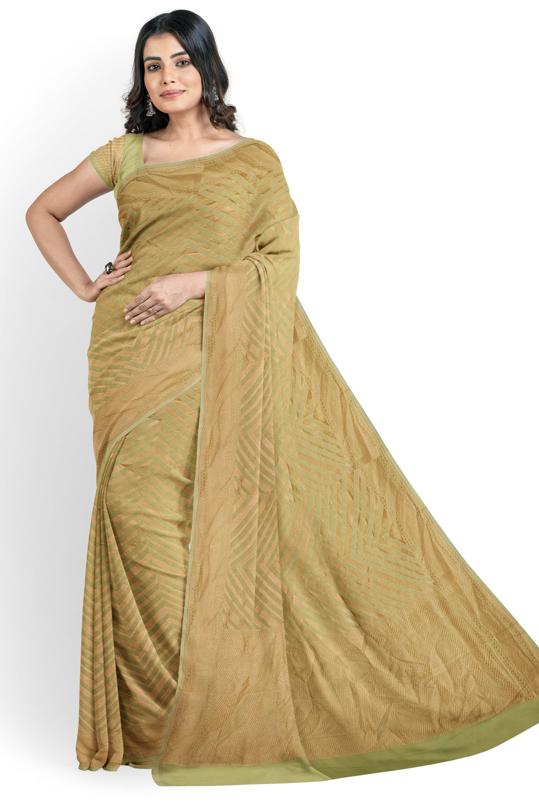 Pastel Moss Green Rangkat Khaddi Georgette Handloom Banarasi Saree | SILK MARK CERTIFIED